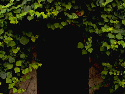 FDotografia Freelance